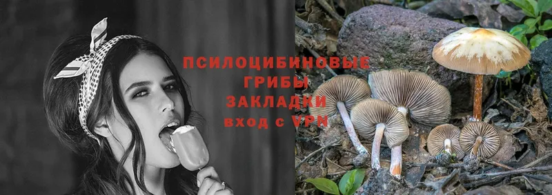 Галлюциногенные грибы Magic Shrooms  купить наркотик  Заринск 